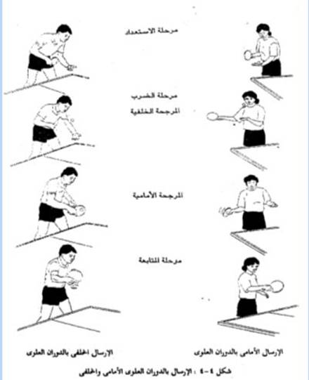 محبط يلهث تجربة انواع الارسال في تنس الريشة Edgecreativedesign Com